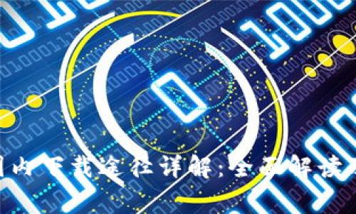 Tokenim国内下载途径详解：全面解读及常见问题