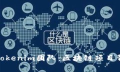 深入了解Tokenim团队：区块