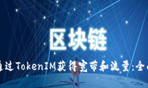 如何通过TokenIM获得宽带和流量：全面指南