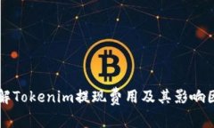 详解Tokenim提现费用及其影响因素