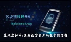 暴风虚拟币：未来数字资