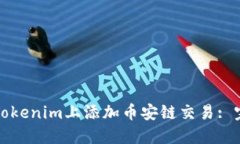 如何在Tokenim上添加币安链