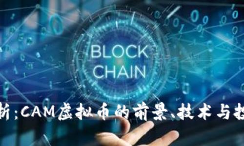 全面解析：CAM虚拟币的前景、技术与投资策略