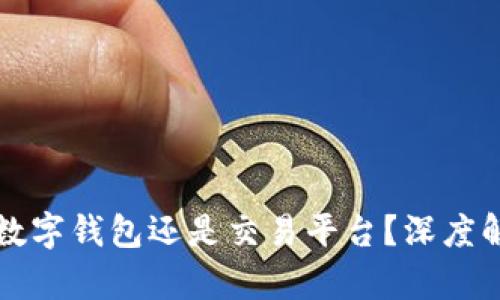 虚拟币应该放在数字钱包还是交易平台？深度解析选择的利与弊