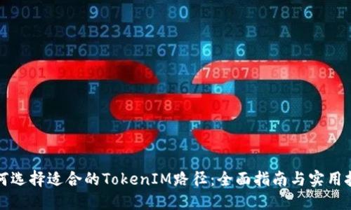 如何选择适合的TokenIM路径：全面指南与实用技巧