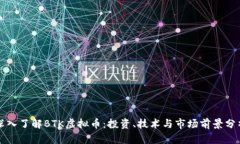 深入了解BTK虚拟币：投资