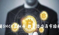 深入了解SMCC虚拟币：投资