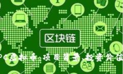 全面解析DPC虚拟币：项目