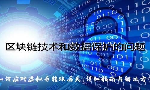 如何应对虚拟币转账丢失：详细指南与解决方案