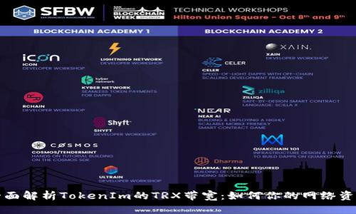 全面解析TokenIm的TRX带宽：如何你的网络资源