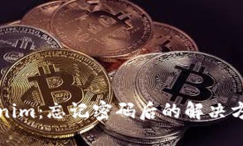 全面探索Tokenim：忘记密码后的解决方案与使用指南