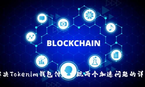 如何解决Tokenim钱包付款出现两个加速问题的详细指南