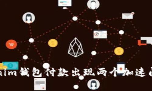 如何解决Tokenim钱包付款出现两个加速问题的详细指南