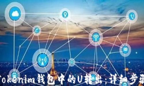 
如何将Tokenim钱包中的U转出：详细步骤与技巧