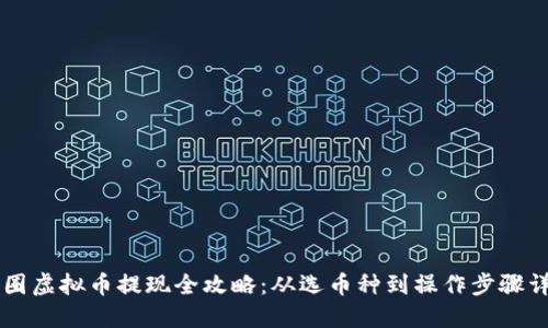 币圈虚拟币提现全攻略：从选币种到操作步骤详解