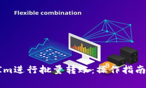 如何使用TokenIm进行批量转账：操作指南与常见问题解答