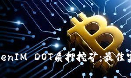 : 深入了解TokenIM DOT质押挖矿：最佳实践与收益分析