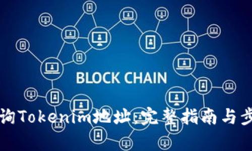 如何查询Tokenim地址：完整指南与步骤解析