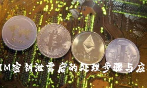 TokenIM密钥泄露后的处理步骤与应对策略