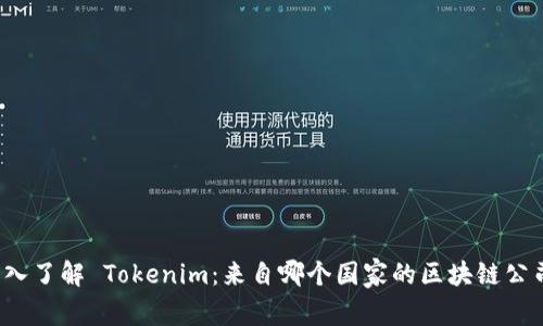 深入了解 Tokenim：来自哪个国家的区块链公司？