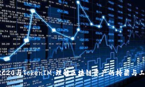 ERC20与TokenIM：理解区块链资产的桥梁与工具