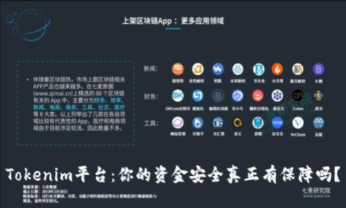 Tokenim平台：你的资金安全真正有保障吗？