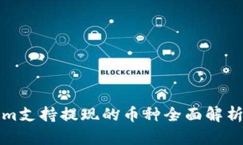 Tokenim支持提现的币种全面解析与指南