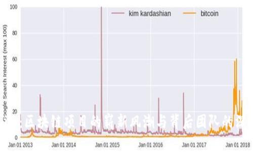 Tokenim：区块链项目的崭新风潮与背后团队的深度解析