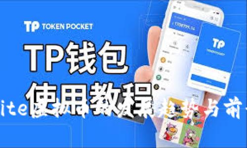 未来Vite虚拟币的发展趋势与前景分析
