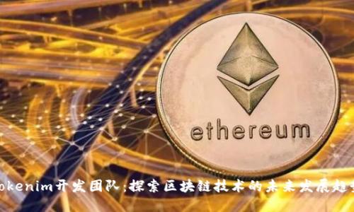 Tokenim开发团队：探索区块链技术的未来发展趋势