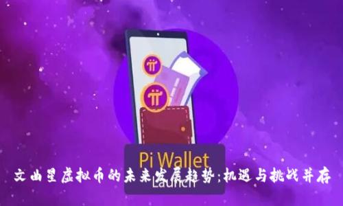 文曲星虚拟币的未来发展趋势：机遇与挑战并存