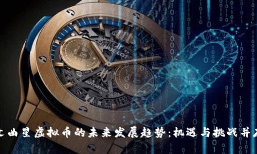 文曲星虚拟币的未来发展趋势：机遇与挑战并存