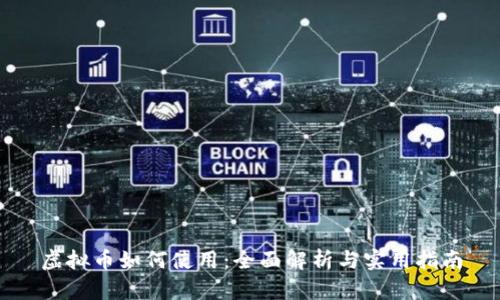 虚拟币如何使用：全面解析与实用指南