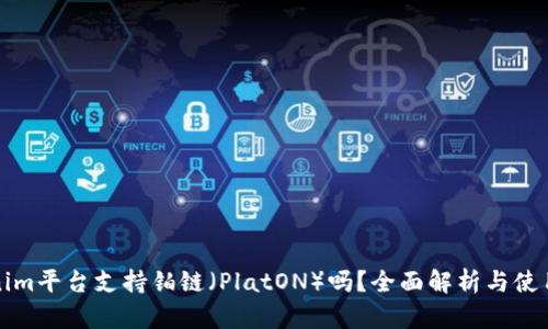 Tokenim平台支持铂链（PlatON）吗？全面解析与使用指南