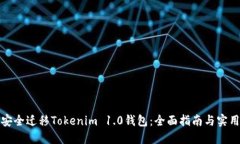 如何安全迁移Tokenim 1.0钱包：全面指南与实用技巧