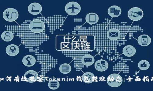 如何有效观察Tokenim钱包转账动态：全面指南
