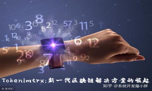 Tokenimtrx：新一代区块链解决方案的崛起