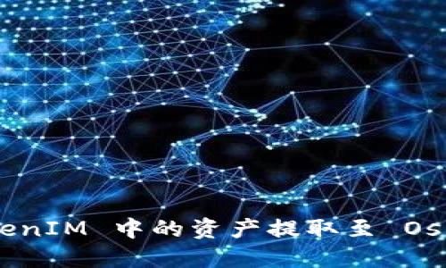 如何将 TokenIM 中的资产提取至 Osch：详细指南