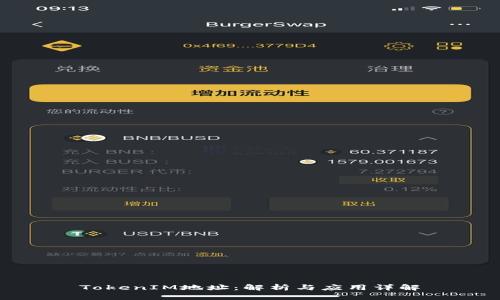 TokenIM地址：解析与应用详解