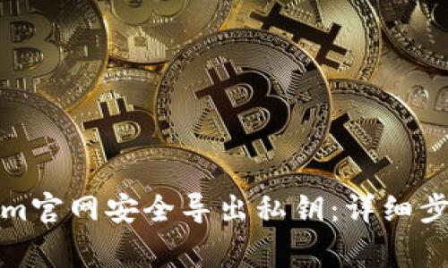 如何在Tokenim官网安全导出私钥：详细步骤与注意事项