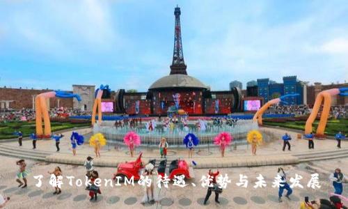 了解TokenIM的待遇、优势与未来发展